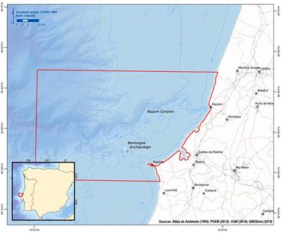 Measuring Vulnerability of Marine and Coastal Habitats’ Potential to Deliver Ecosystem Services: Complex Atlantic Region as Case Study